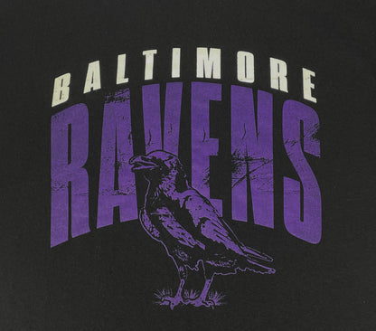 Bmore Birds